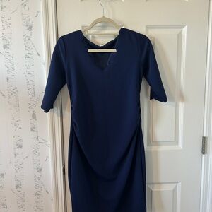 Pinkblush Maternity Navy  Dress